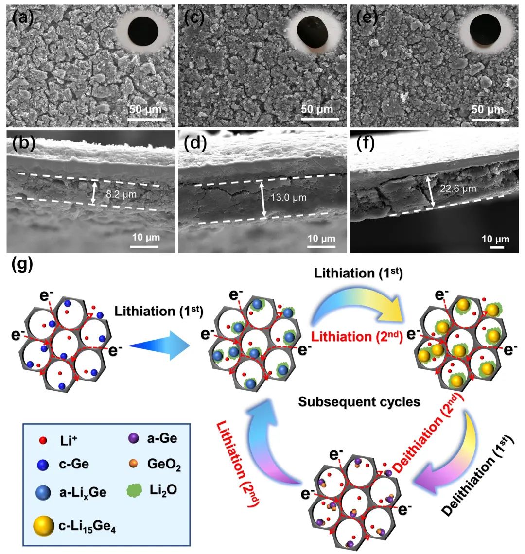 江苏大学沈小平教授和上海大学杜飞虎博士JEC：锗纳米颗粒均匀锚定在三维多孔石墨烯骨架上作为高性能锂离子电池负极