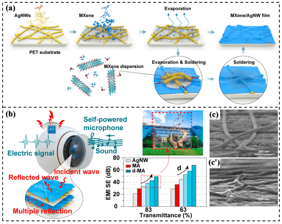 NML综述 | 聚合物基电磁屏蔽复合材料研究进展