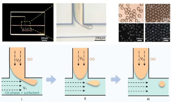 浙江大学高超教授课题组：微流控法制备氧化石墨烯非球形液滴及其形貌研究