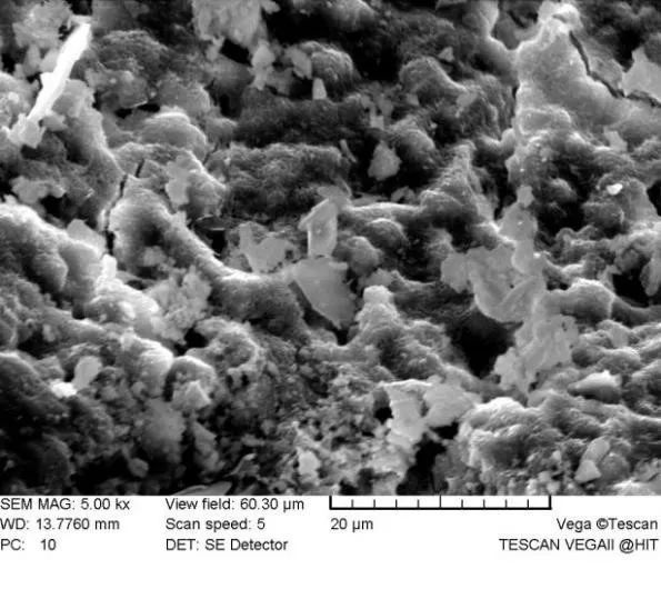 哈尔滨工业大学张英姿副教授团队：气候变化条件下石墨烯纳米板对混凝土碳化深度的影响 | MDPI Applied Sciences