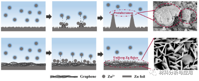 海南大学《J Energy Storage 》：石墨烯作为长寿命锌离子混合超级电容器的锌沉积调节层