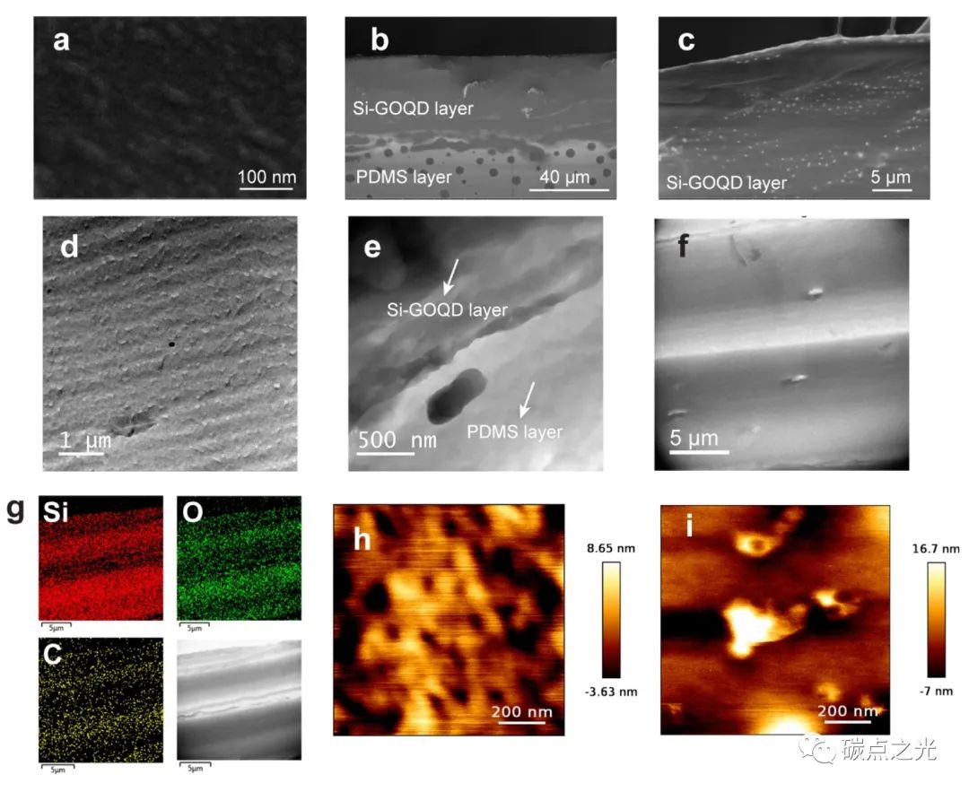 ACS Appl. Mate. Interfaces：硅掺杂氧化石墨烯量子点作为多功能纳米复合材料的高效纳米共轭物