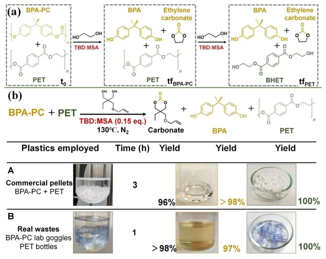 四川大学王玉忠院士、张帆研究员JEC综述：废塑料的化学循环和升级回收制备燃料、高值化学品和功能材料