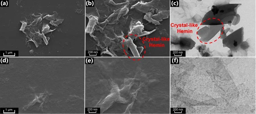 华南师大周国富/王耀教授团队《Small》：用于室温一氧化氮气体传感的具有碳-铁电子传输通道的卟啉-石墨烯复合材料
