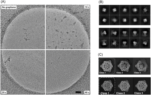 清华大学王宏伟、天津大学陈亚楠SmartMat：高分辨率低温电子显微镜用石墨烯结构工程