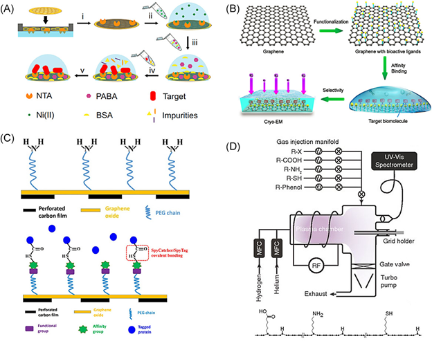 清华大学王宏伟、天津大学陈亚楠SmartMat：高分辨率低温电子显微镜用石墨烯结构工程