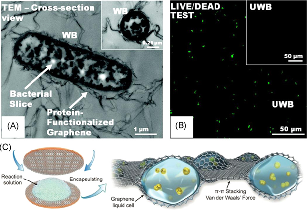 清华大学王宏伟、天津大学陈亚楠SmartMat：高分辨率低温电子显微镜用石墨烯结构工程