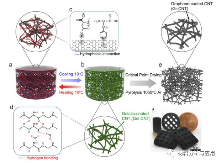 韩国材料科学研究所《Carbon》：明胶衍生的各种可调特性的石墨烯涂层CNT气凝胶