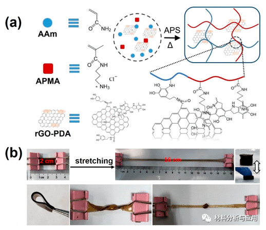 苏州大学《ACS APM》：一种电阻型石墨烯水凝胶传感器，用于监测人体运动