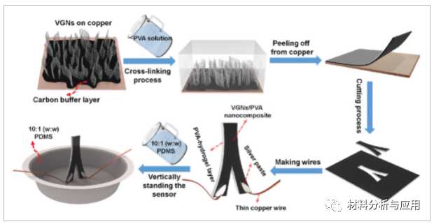 澳大利亚麦考瑞大学《AMT》：基于石墨烯纳米片和PVA水凝胶的仿生超柔性压阻流量传感器