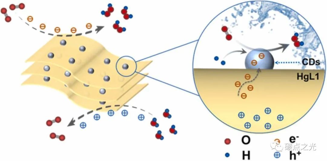 Nano Today. :全面了解碳点在金属化石墨烯基催化剂光诱导生成H2O2中的作用