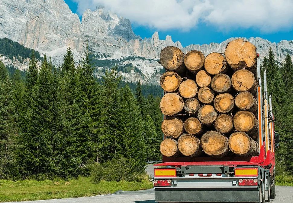 3.15丨如何辨别真假石墨烯能量房？注意识别“山寨”！