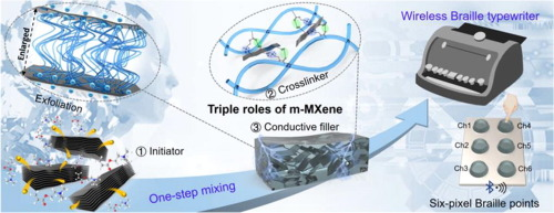 《CEJ》复旦大学武培怡一石三鸟：以多层MXene为引发剂、交联剂和导电填料的一步设计高弹性和导电水凝胶电子