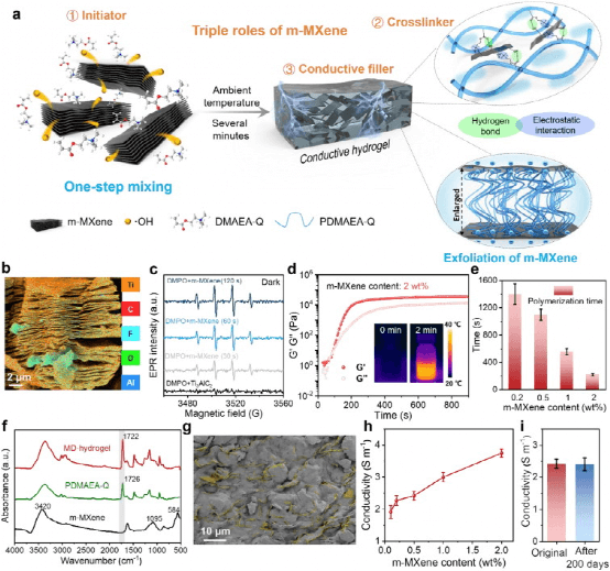 《CEJ》复旦大学武培怡一石三鸟：以多层MXene为引发剂、交联剂和导电填料的一步设计高弹性和导电水凝胶电子