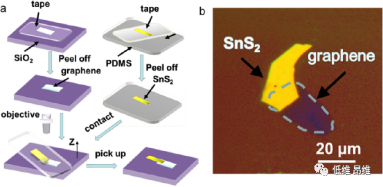 ACS Appl. Mater. Interfaces：具有高光响应率和高光电探测率的石墨烯/SnS2范德华光电探测器
