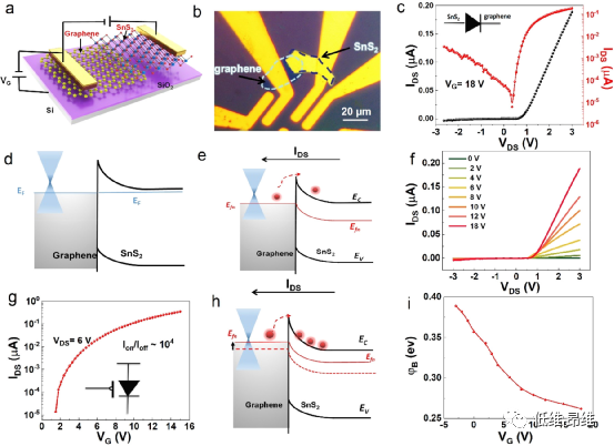 ACS Appl. Mater. Interfaces：具有高光响应率和高光电探测率的石墨烯/SnS2范德华光电探测器