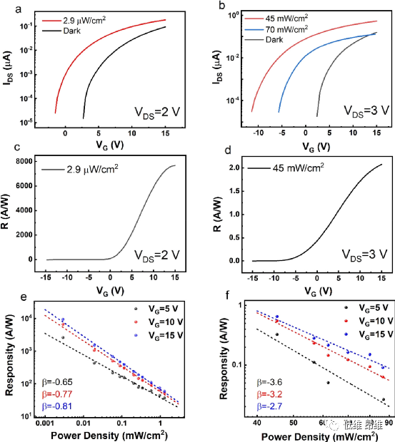 ACS Appl. Mater. Interfaces：具有高光响应率和高光电探测率的石墨烯/SnS2范德华光电探测器