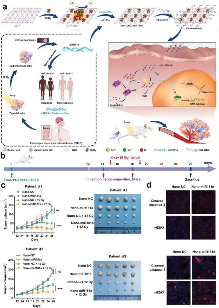 【顶刊综述】李玉良院士研究团队CSR观点：2D石墨炔：一种新兴碳材料