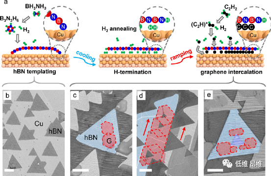 ACS Nano：可扩展六方氮化硼/石墨烯双层莫尔材料的外延插层生长