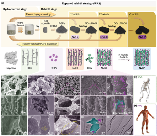 《AM》清华曲良体/北理陈南/力学所刘峰：具有超高容量脱盐能力的重生3D石墨烯