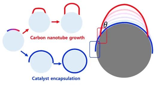 韩国基础科学研究院多维碳材料研究中心丁峰教授 JACS: 碳纳米管为何会生长？