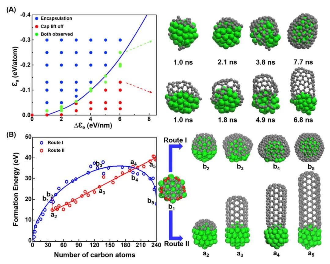 韩国基础科学研究院多维碳材料研究中心丁峰教授 JACS: 碳纳米管为何会生长？