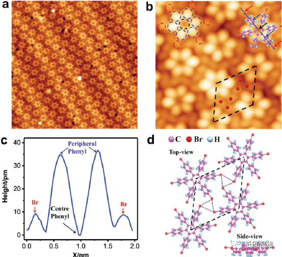 ​Small：可变带隙纳米多孔石墨烯的表面合成