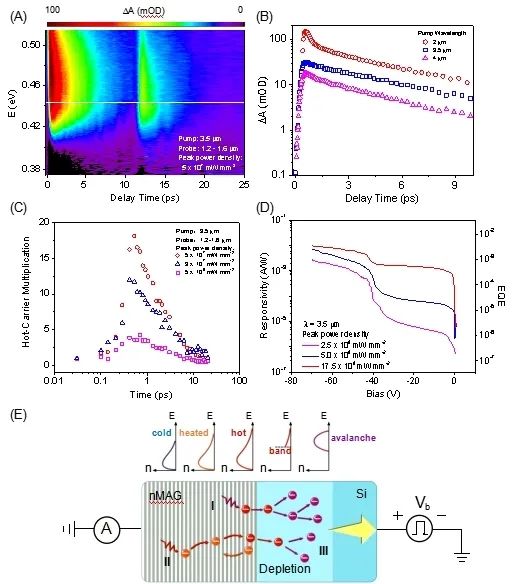 《InfoMat》：基于宏观组装石墨烯纳米膜的室温高速中红外探测器