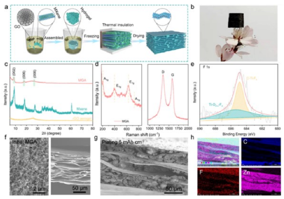 《AM》北理谢嫚/陈人杰：在混合 MXene/石墨烯气凝胶中封装金属锌，作为可折叠锌离子电池的稳定锌阳极