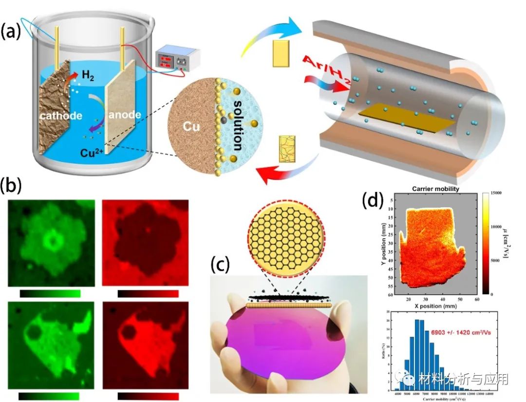 中科院化学所刘云圻课题组《AM》:大面积纯单层电学性能均匀的单晶石墨烯制备方面取得新进展