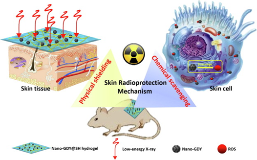 《CEJ》雍媛/赵丽娜/谷战军：纳米石墨炔水凝胶的外用用于皮肤辐射防护