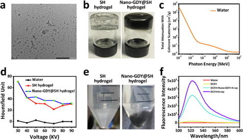 《CEJ》雍媛/赵丽娜/谷战军：纳米石墨炔水凝胶的外用用于皮肤辐射防护