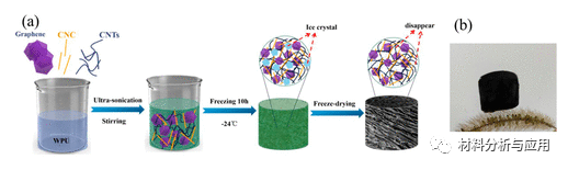 四川大学《ACS SCE》：简便制备石墨烯/碳纳米管/水性聚氨酯/纤维素纳米晶体复合气凝胶，用于高灵敏度压力传感器