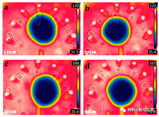 四川大学《ACS SCE》：简便制备石墨烯/碳纳米管/水性聚氨酯/纤维素纳米晶体复合气凝胶，用于高灵敏度压力传感器