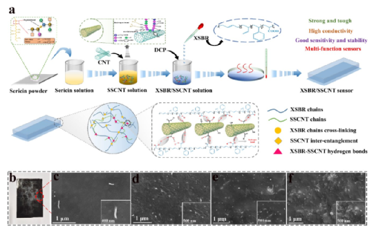 ​《AM》广西大学徐传辉: 基于橡胶/CNT的高性能/灵敏/可穿戴多功能传感器，用于人体运动和皮肤温度检测
