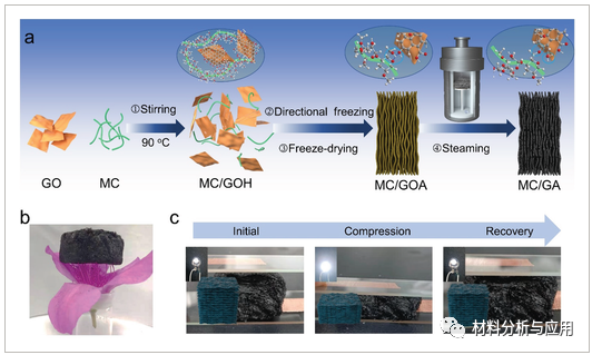 国防科技大学《AMT》：一种基于甲基纤维素增强石墨烯气凝胶的出色宽范围压阻传感器