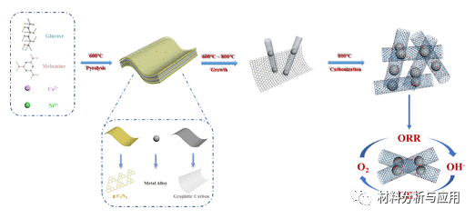 暨南大学《ACS SCE》:将N掺杂石墨烯包裹的CoNi纳米合金嵌入N掺杂碳纳米管中，用于可充电锌空气电池