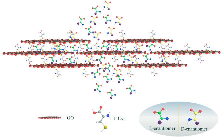 山东大学侯士峰教授团队最新ACS AMI：L-半胱氨酸改性氧化石墨烯膜用于手性选择性分离