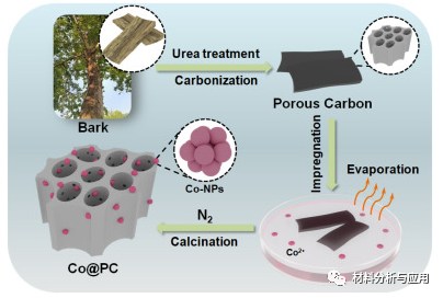 河北工业大学《Carbon》：悬铃木树皮为原料制备Co掺杂多孔碳复合材料，用于微波吸收