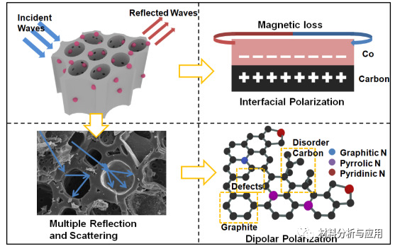 河北工业大学《Carbon》：悬铃木树皮为原料制备Co掺杂多孔碳复合材料，用于微波吸收