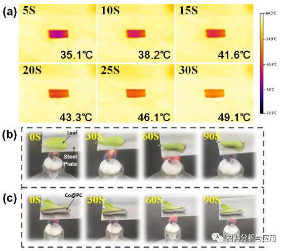 河北工业大学《Carbon》：悬铃木树皮为原料制备Co掺杂多孔碳复合材料，用于微波吸收