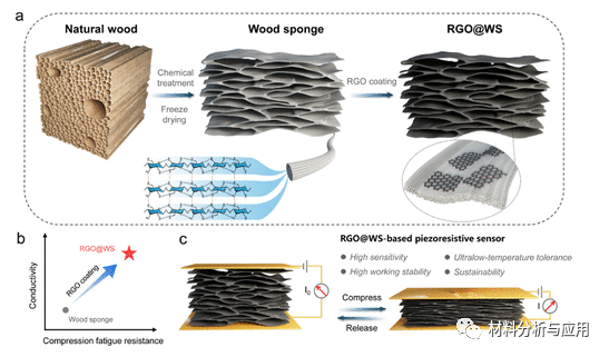 中国林科院《ACS SCE》：高弹性和抗疲劳石墨烯包裹的层状木海绵，用于高性能压阻传感器