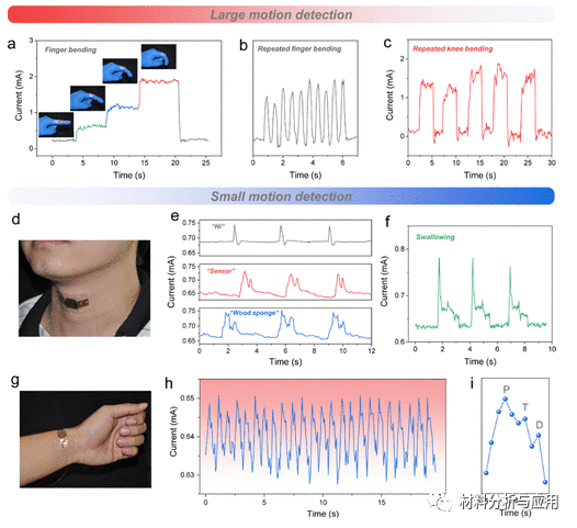 中国林科院《ACS SCE》：高弹性和抗疲劳石墨烯包裹的层状木海绵，用于高性能压阻传感器
