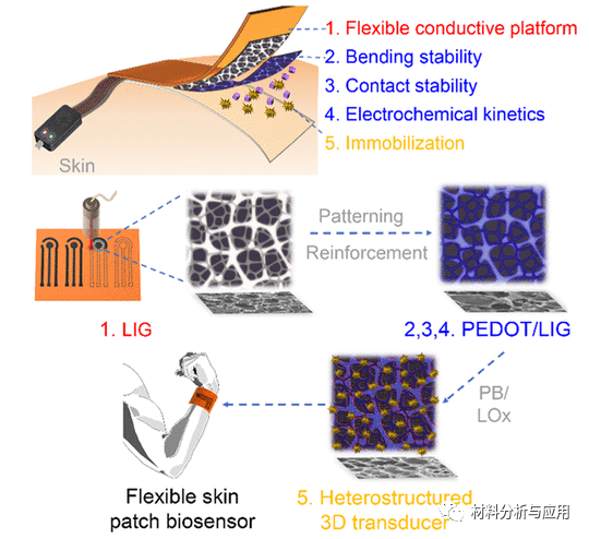 瑞典林雪平大学《ACS AMI》:导电聚合物增强激光辐照石墨烯作为柔性皮肤贴片生物传感器的异质结构3D传感器