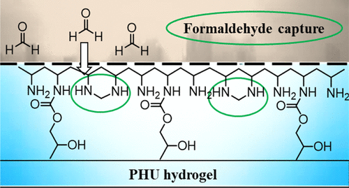 用于捕获甲醛的聚羟基聚氨酯水凝胶和涂层！