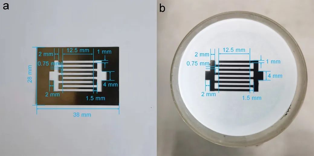 济大刘宏/徐彩霞、物理所谷林、NUS Wang《Adv. Mater.》: 模板辅助-转印法构筑氯掺杂石墨烯基的可集成化柔性器件