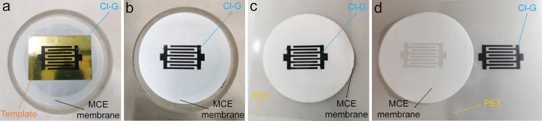 济大刘宏/徐彩霞、物理所谷林、NUS Wang《Adv. Mater.》: 模板辅助-转印法构筑氯掺杂石墨烯基的可集成化柔性器件