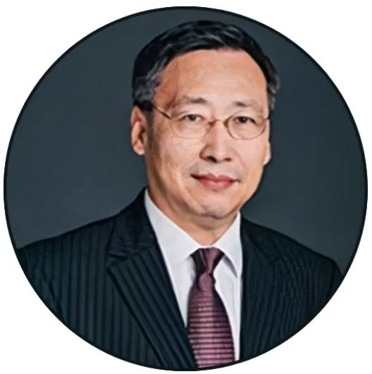 济大刘宏/徐彩霞、物理所谷林、NUS Wang《Adv. Mater.》: 模板辅助-转印法构筑氯掺杂石墨烯基的可集成化柔性器件