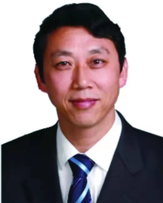 济大刘宏/徐彩霞、物理所谷林、NUS Wang《Adv. Mater.》: 模板辅助-转印法构筑氯掺杂石墨烯基的可集成化柔性器件