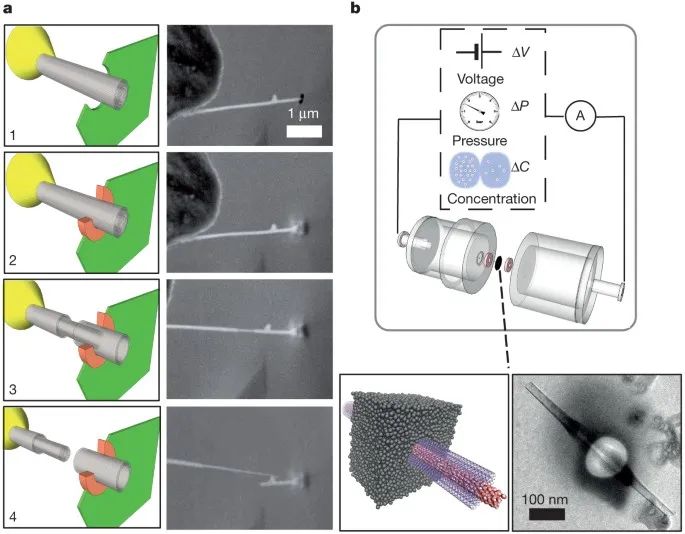 给石墨片加点氧，怎么就发Nature Materials了？